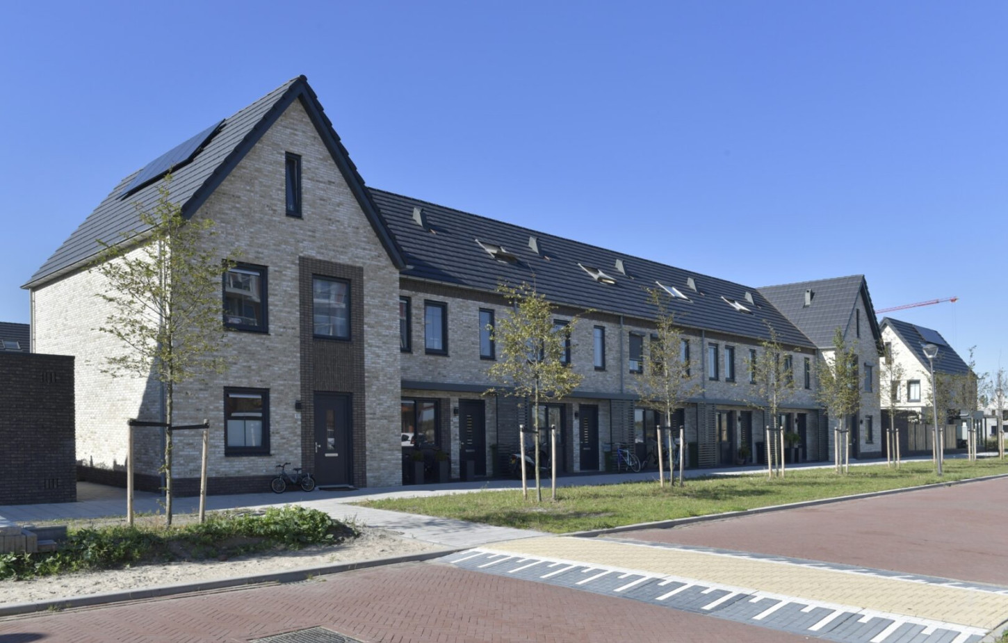 Strauspark Voorhout 181951 82