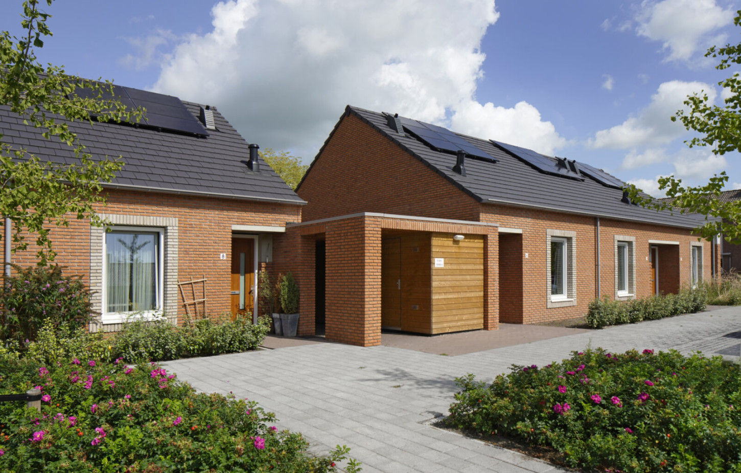 Zw Vlierbeek Regge4444RP