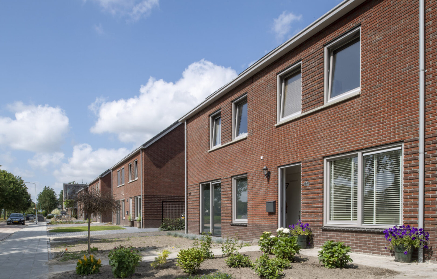 Lippenhuizen Swanneblom CSF210158 344