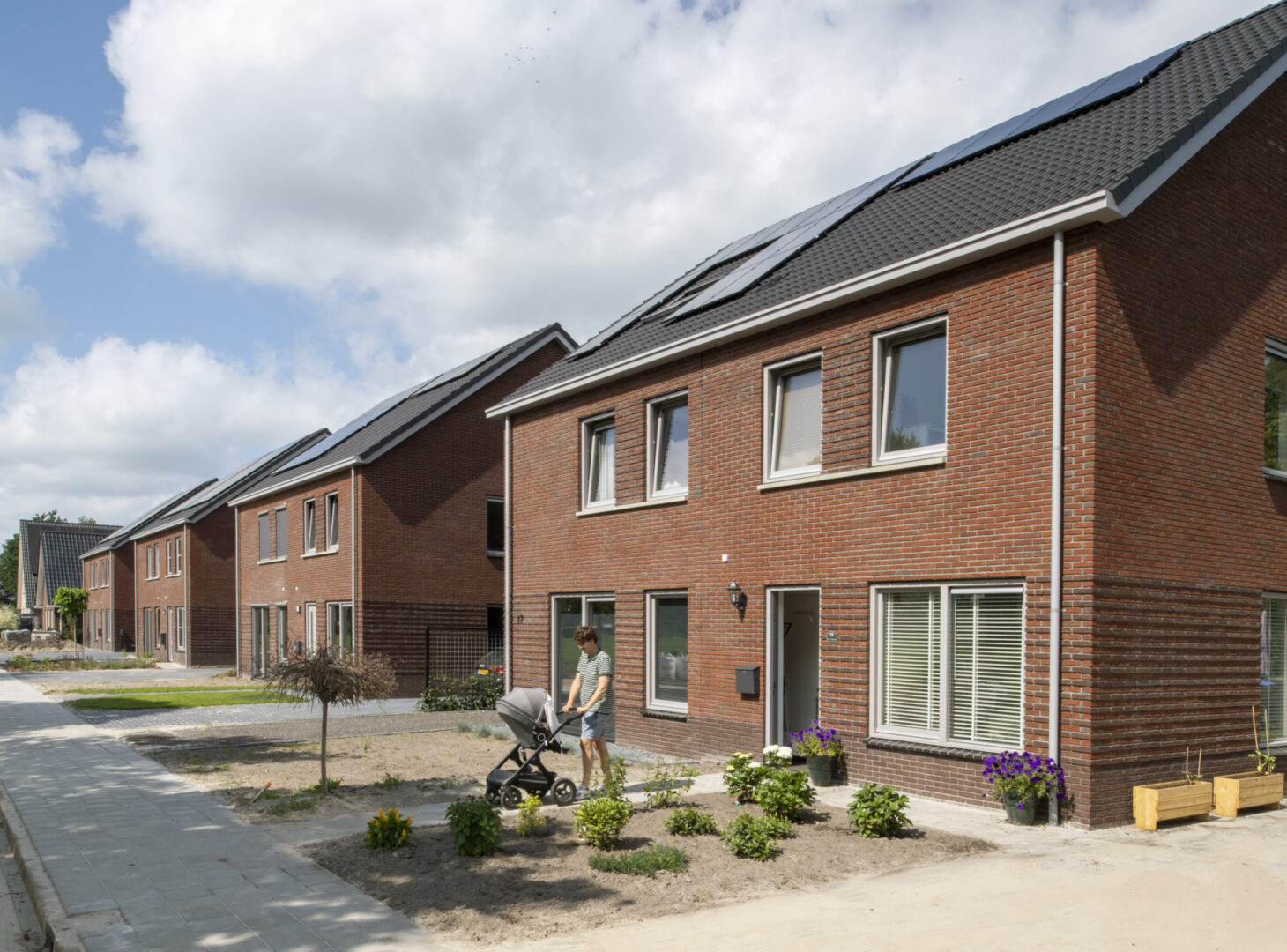 Lippenhuizen Swanneblom CSF210158 357