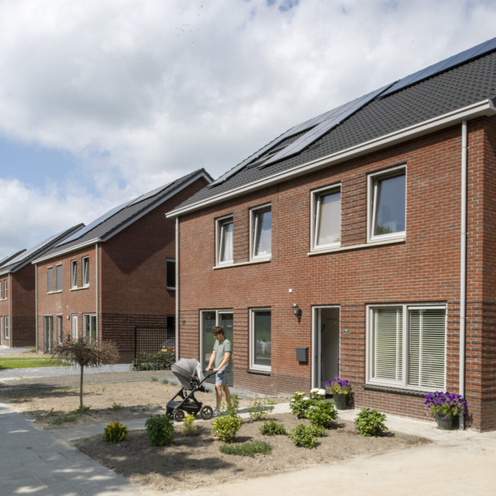 Lippenhuizen Swanneblom CSF210158 357