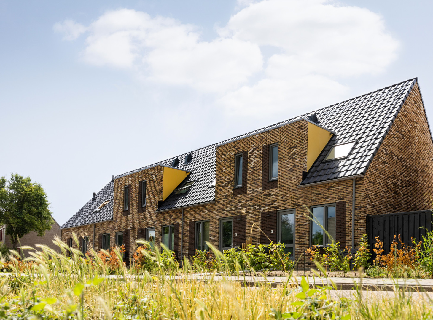 Duiven Weidekervel 04