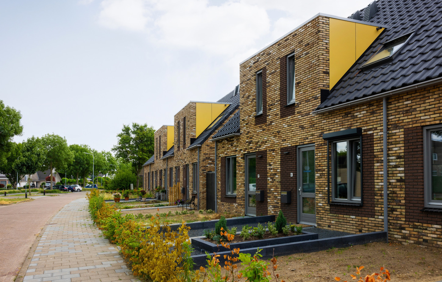 Duiven Weidekervel 06