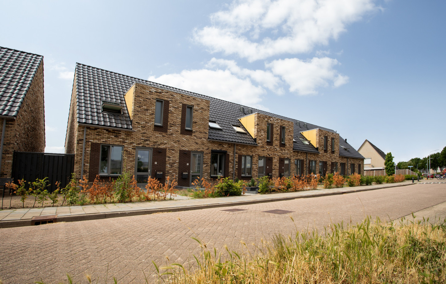 Duiven Weidekervel 11
