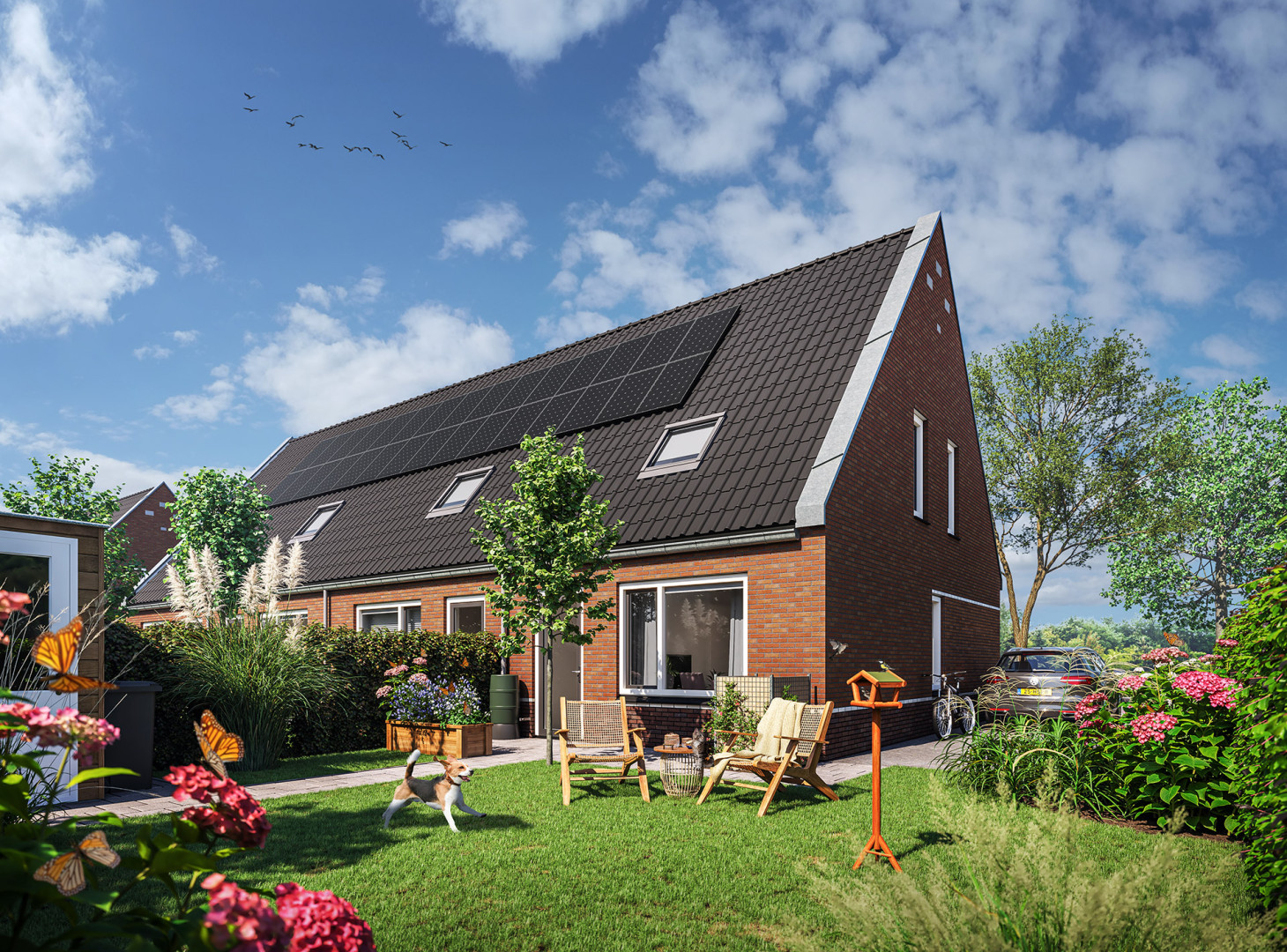 Impressie tuin